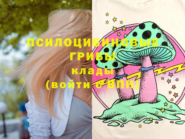прущие крисы Верея