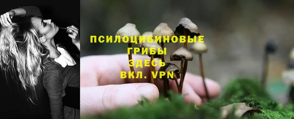 прущие крисы Верея