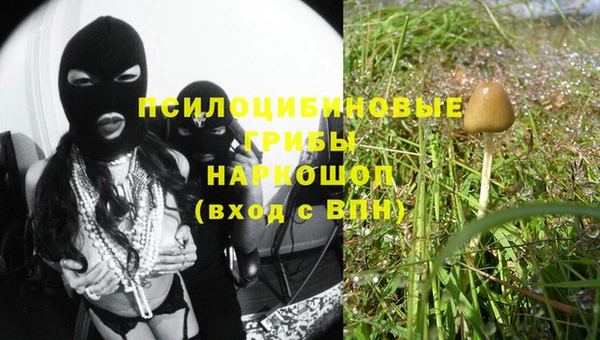 прущие крисы Верея