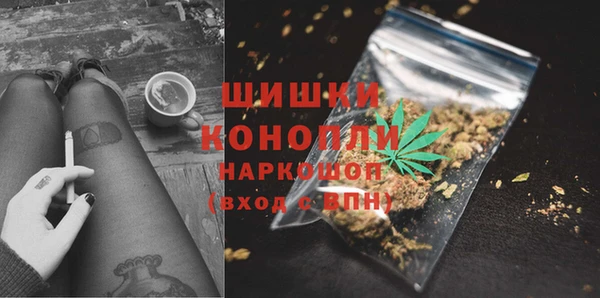 прущие крисы Верея