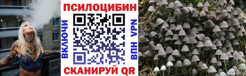 Псилоцибиновые грибы Psilocybe  OMG онион  darknet как зайти  Сосногорск 